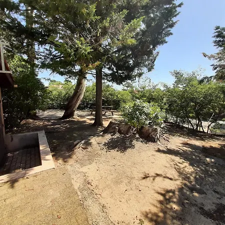 Renovee Avec Piscine, Petanque, A 2 Pas Des Plages De Capbreton, Ideale Pour Familiales - Fr-1-239-1055 * Capbreton